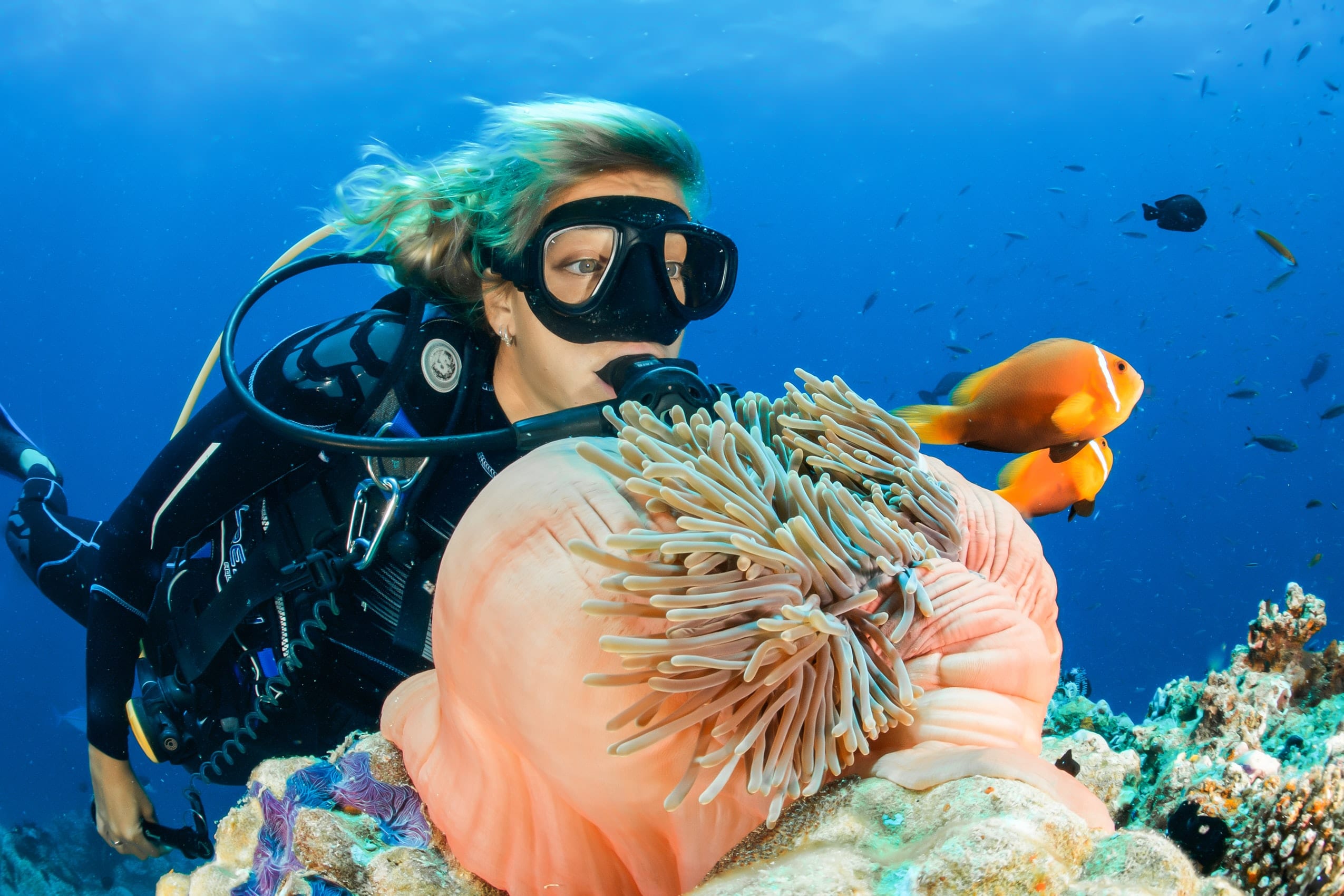 14-seriously-fun-facts-about-scuba-diving-facts