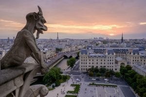 a view across Paris from the roof of the Notre-Dame