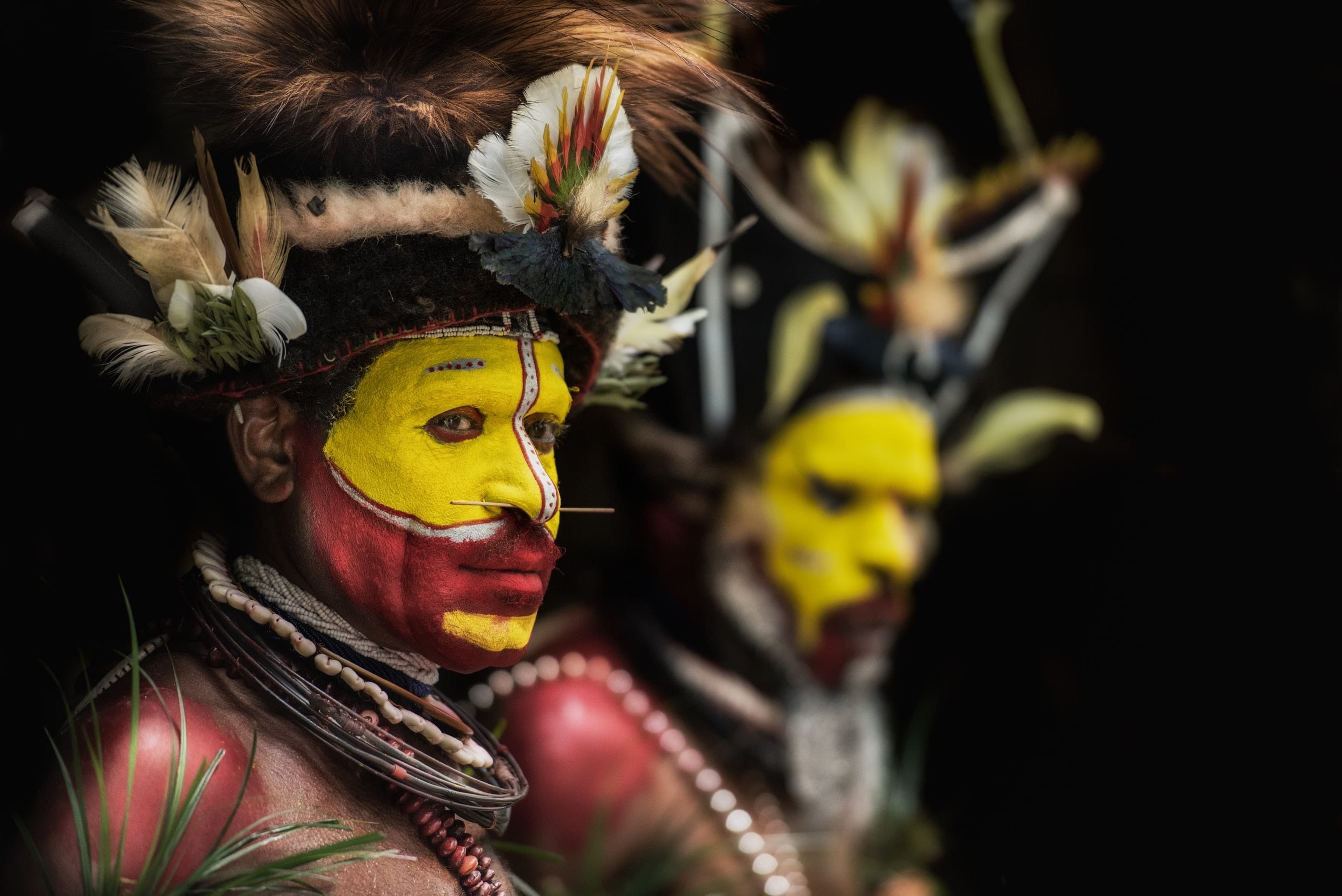 17 Pukka Facts About Papua New Guinea