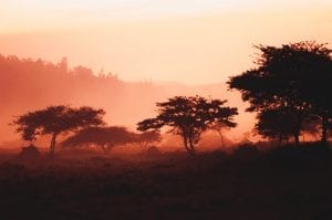 facts about rwanda