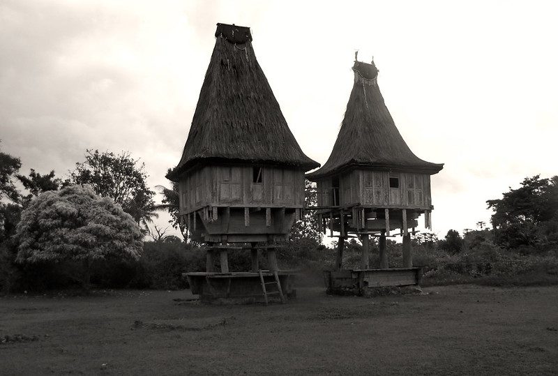 Traditional wooden houses called uma lulik