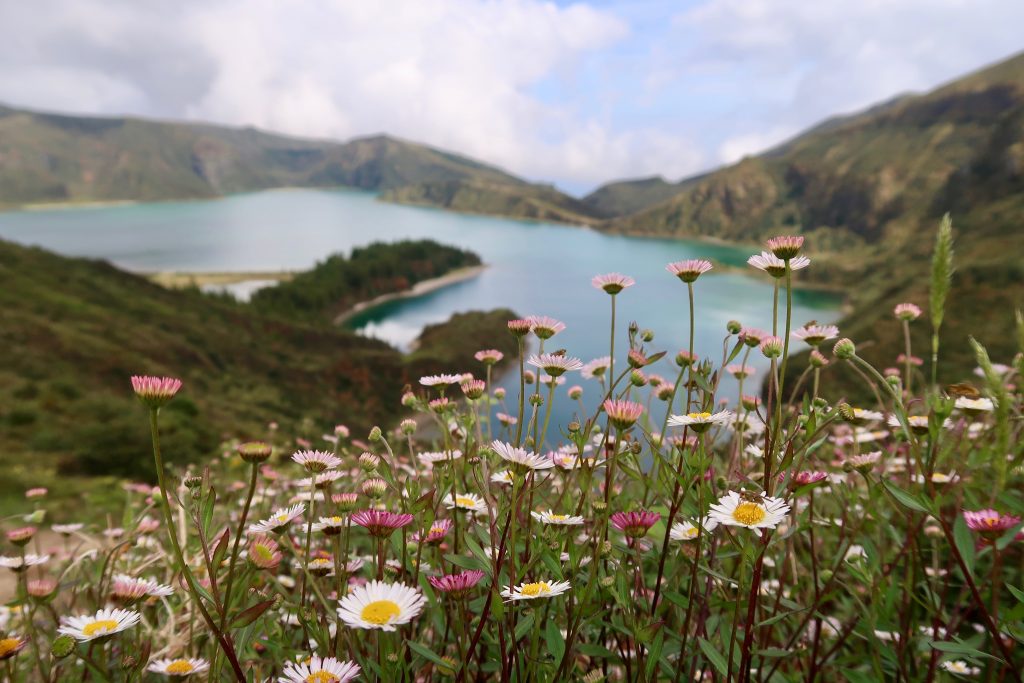 interesting facts about Azores