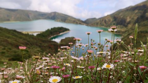 interesting facts about Azores