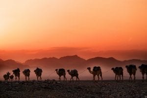 interesting facts about Ethiopia