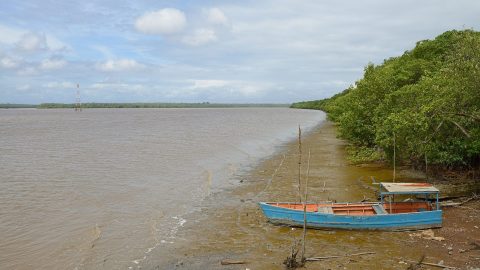 interesting facts about French Guiana