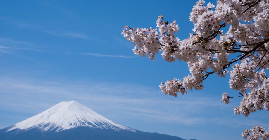 interesting facts about Japan