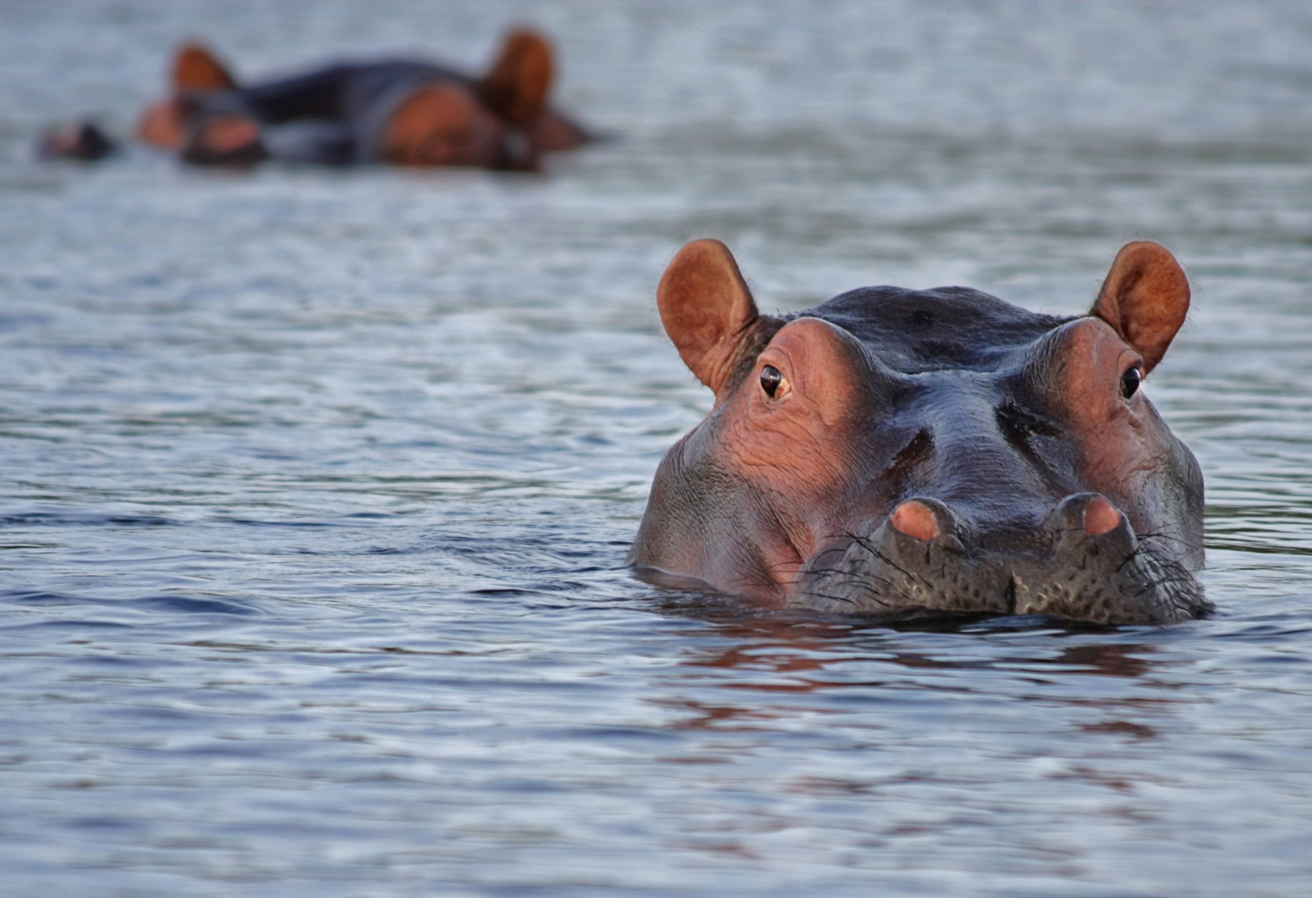 14 Enlightening Facts about Lilongwe