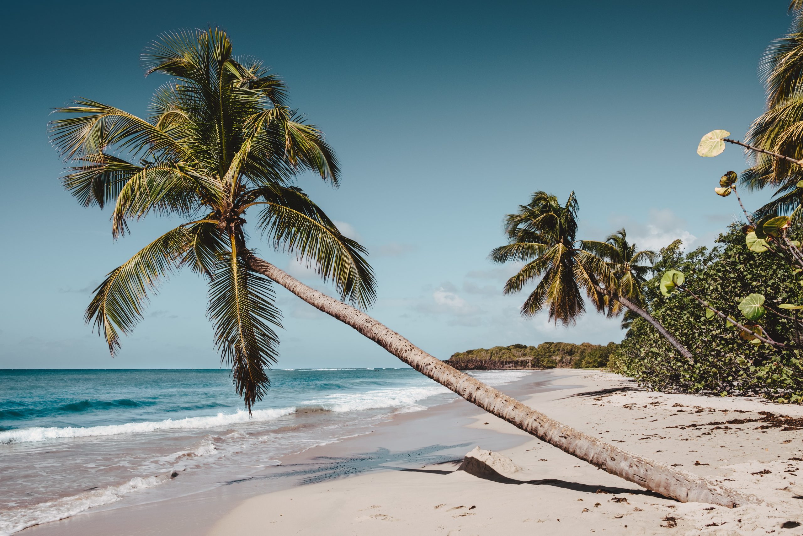 16 Marvellous Facts About Martinique