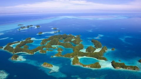 interesting facts about Palau