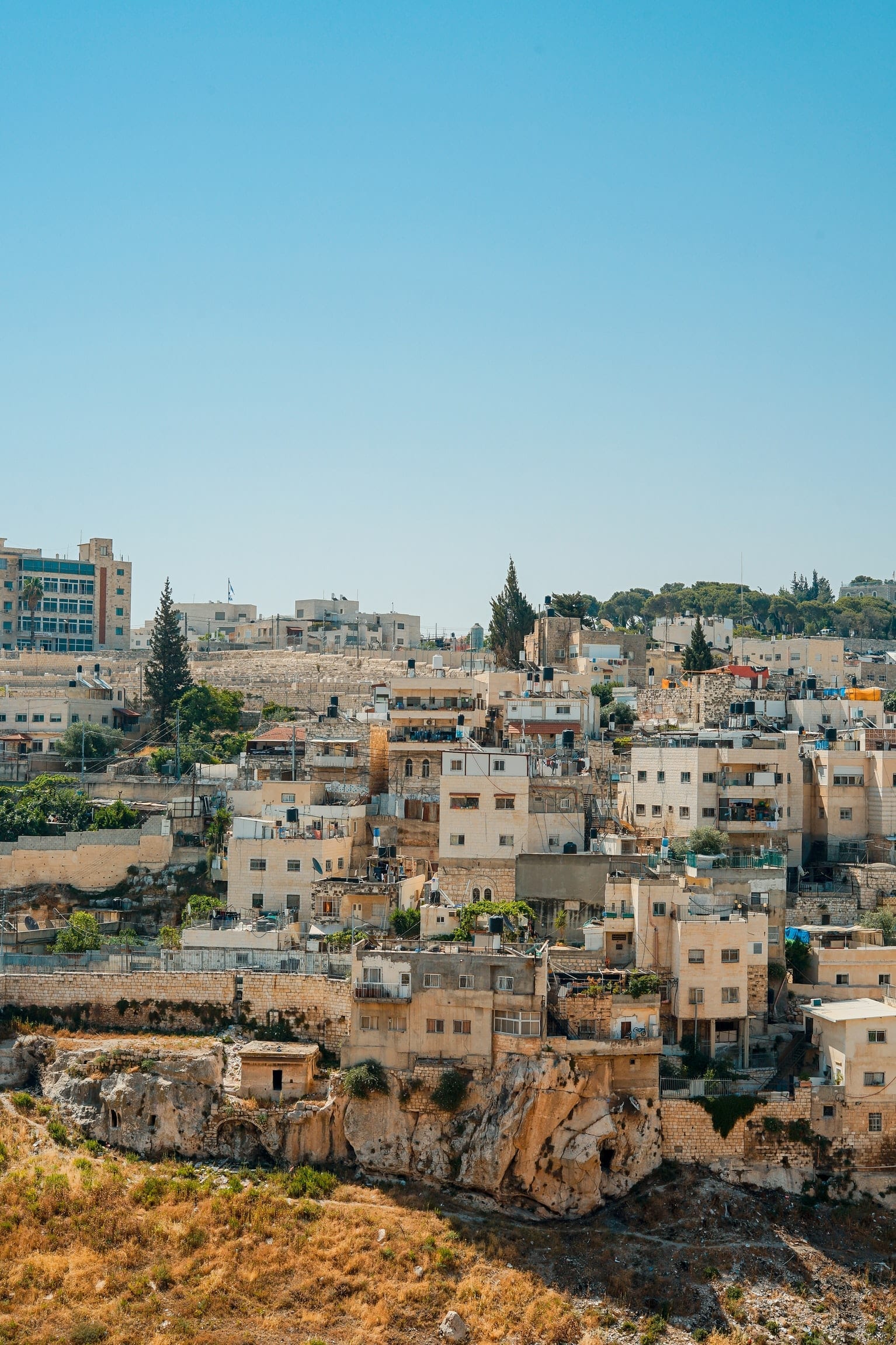 13 Pleasant Facts about Palestine