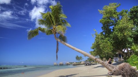 interesting facts about Samoa