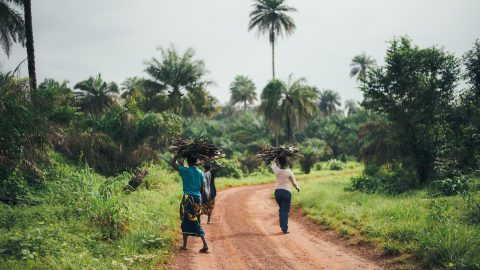 interesting facts about Sierra Leone