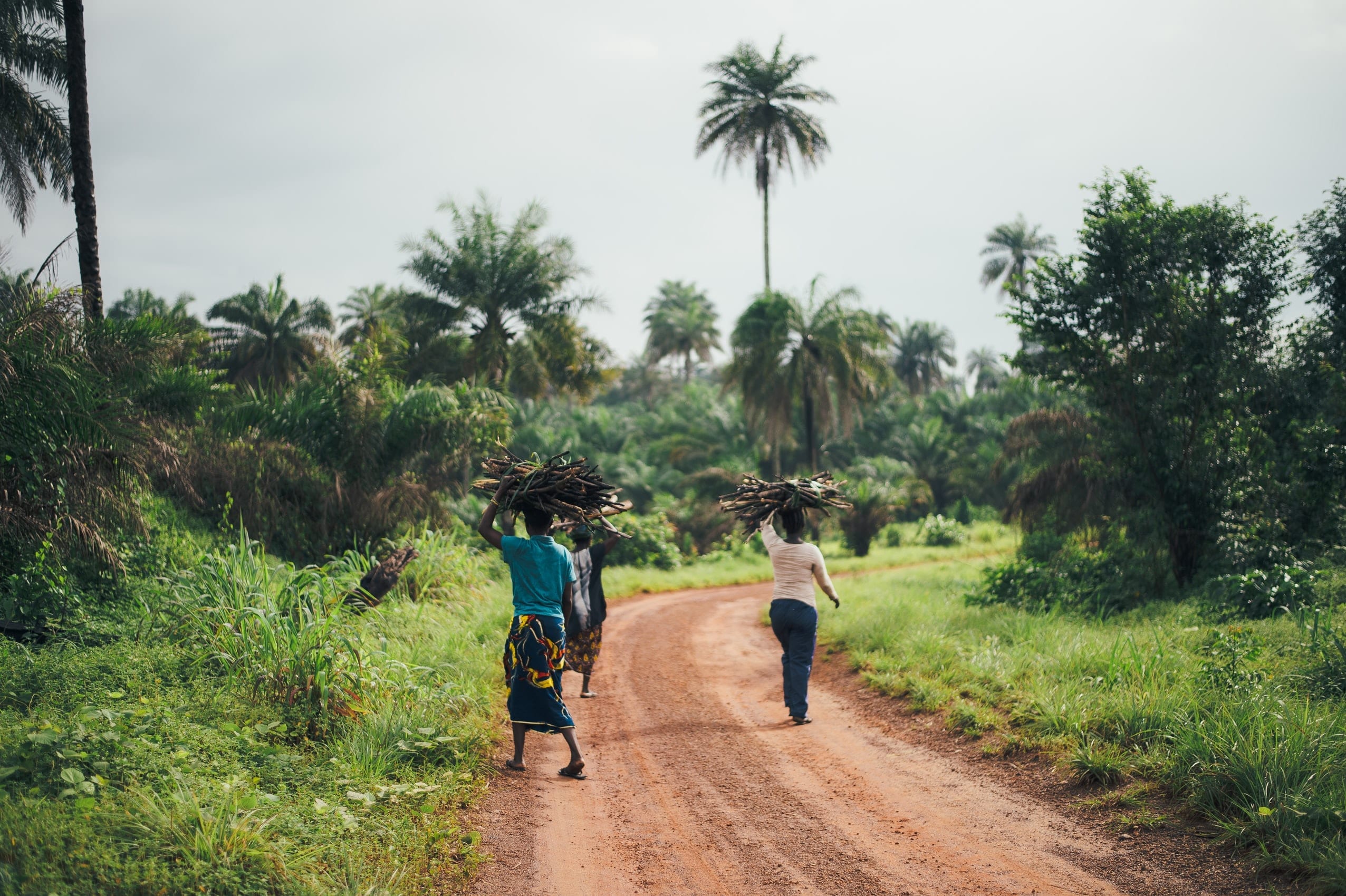 16 Spectacular Facts About Sierra Leone