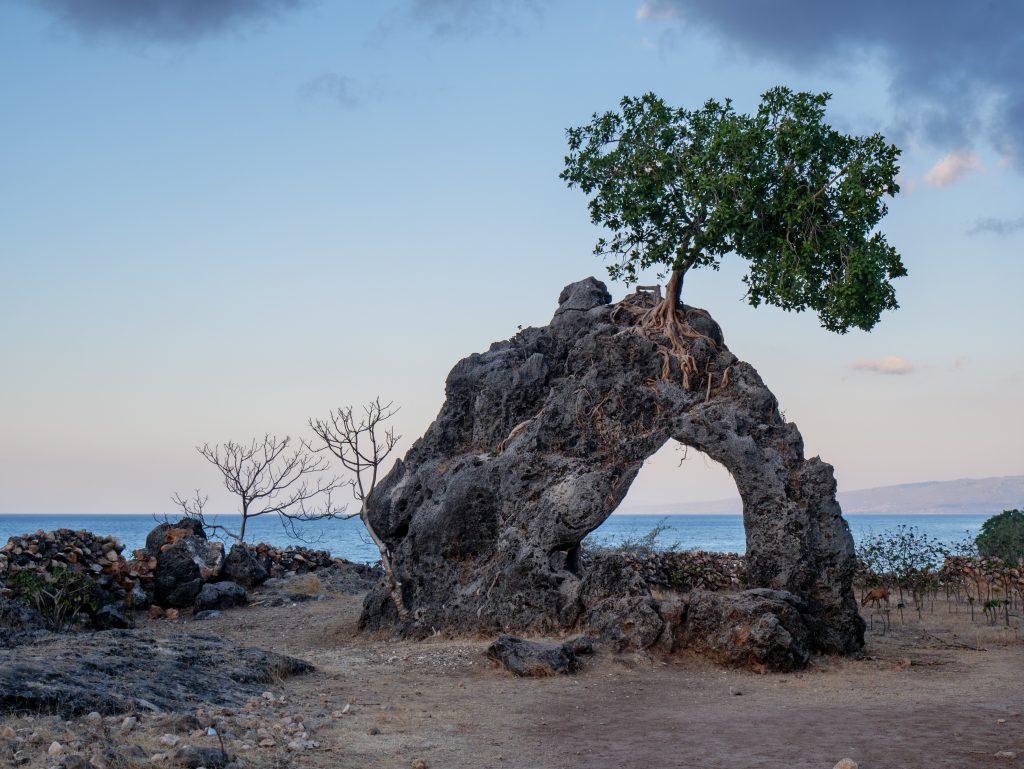 interesting facts about Timor Leste