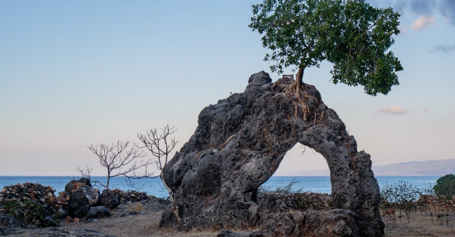 interesting facts about Timor Leste