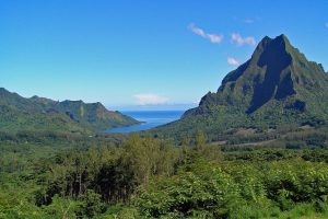 a tropical mountain in French Polynesia