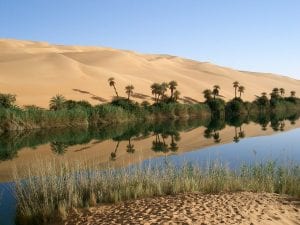 Oasis in the desert, Libya