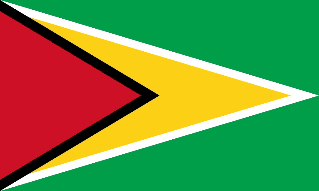 Flag of Guyana