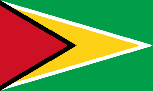 Flag of Guyana