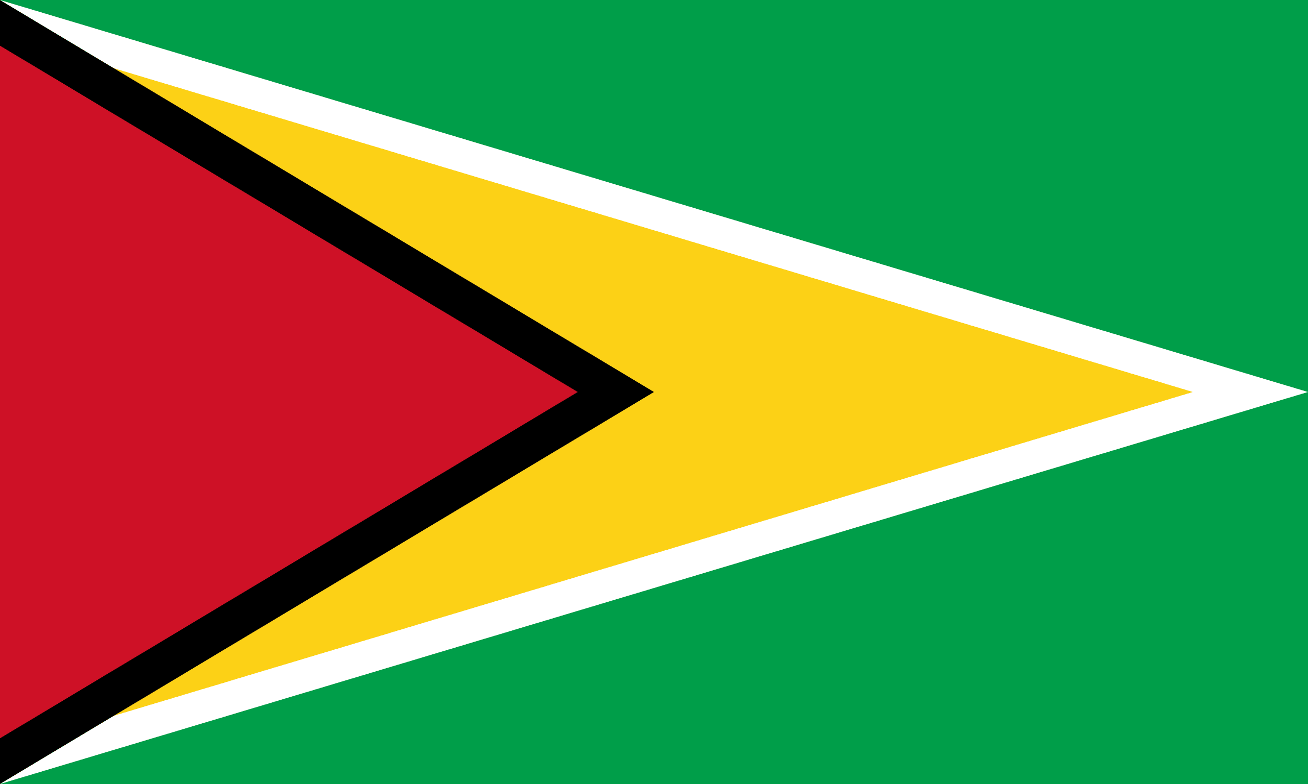 Flag of Guyana