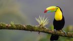 Interesting facts about Costa Rica