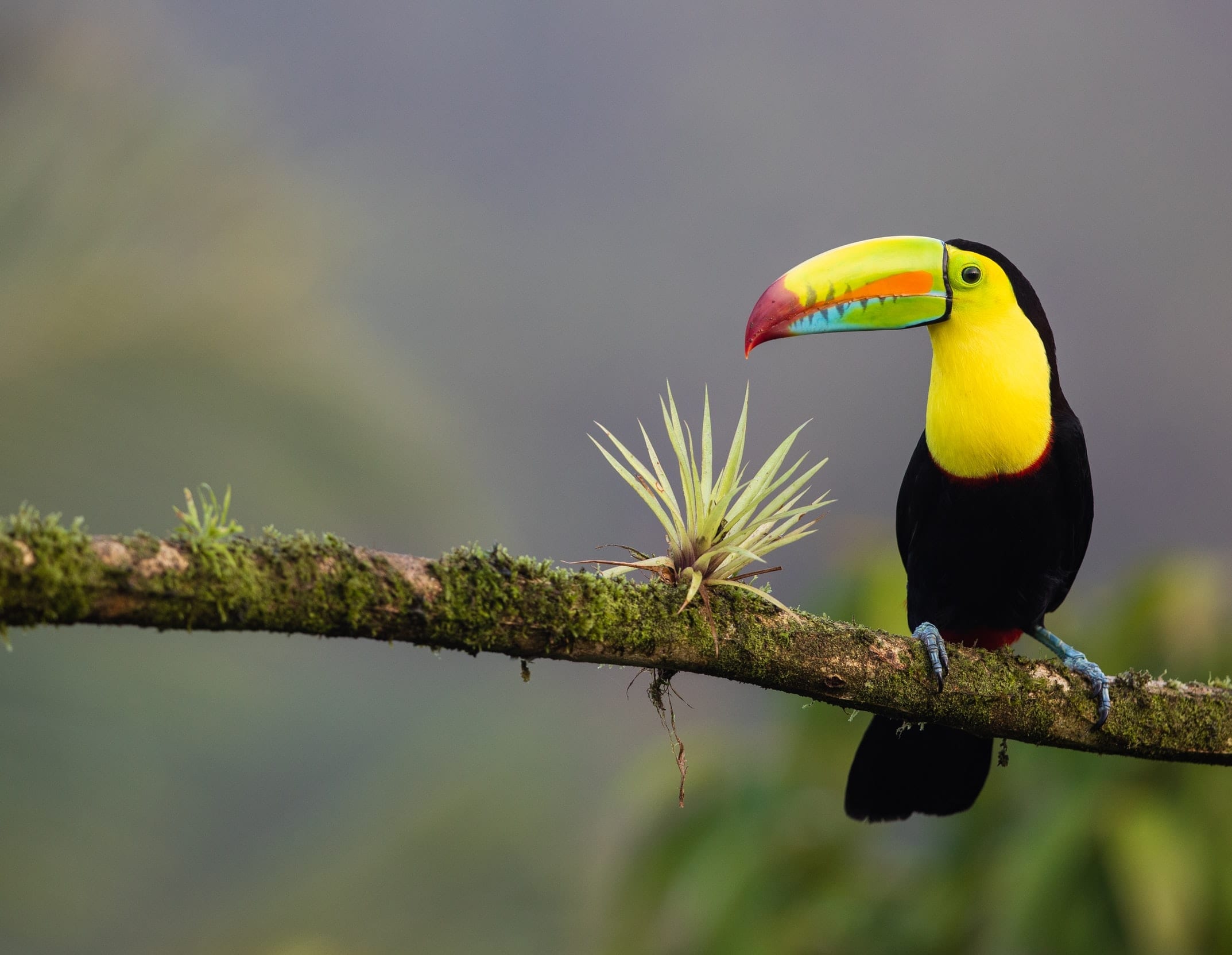 16 Cracking Facts about Costa Rica