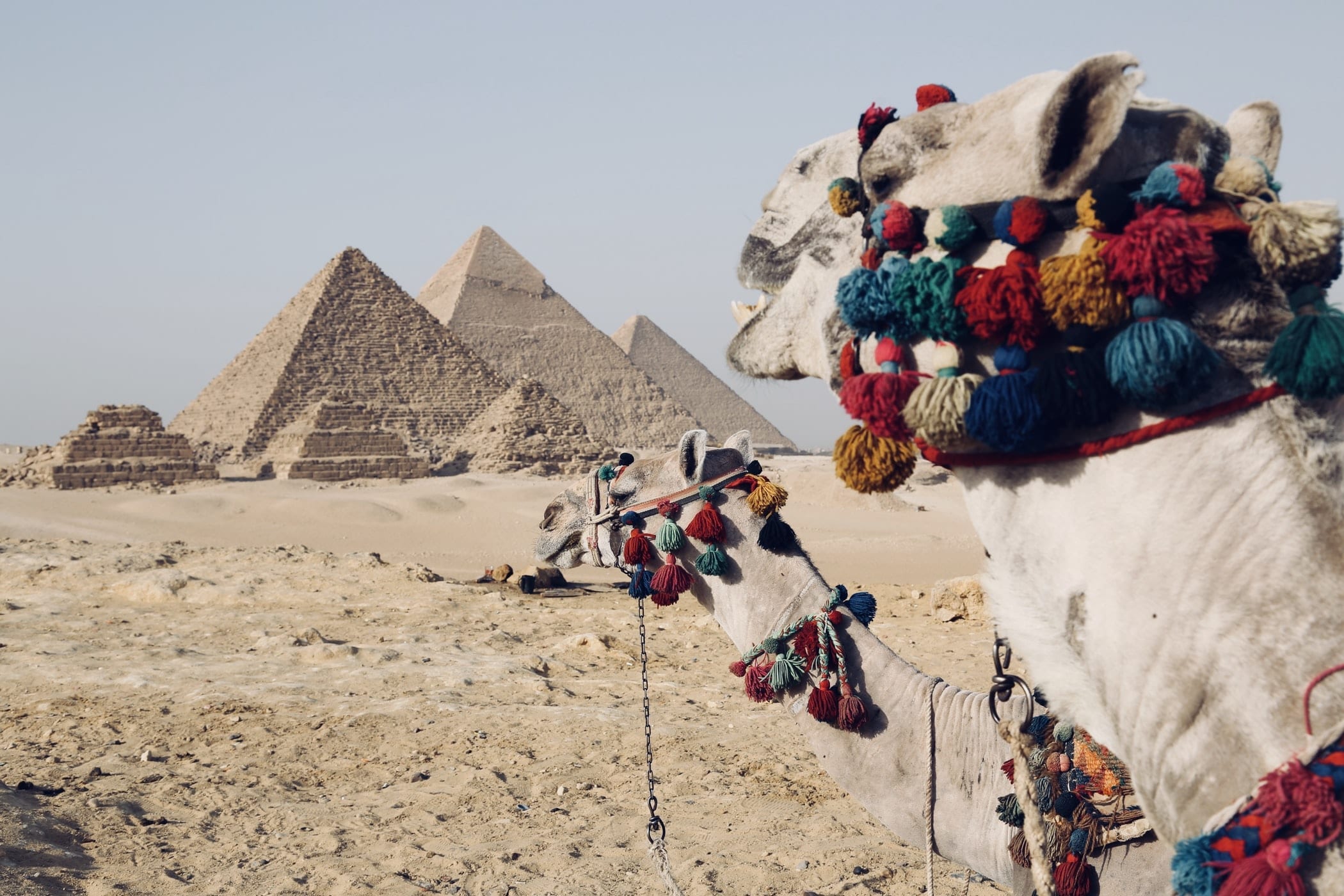 16 Fun Facts About Egypt