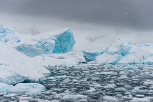 Cuverville Island, Antarctica