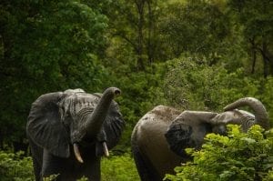 interesting facts about Ghana