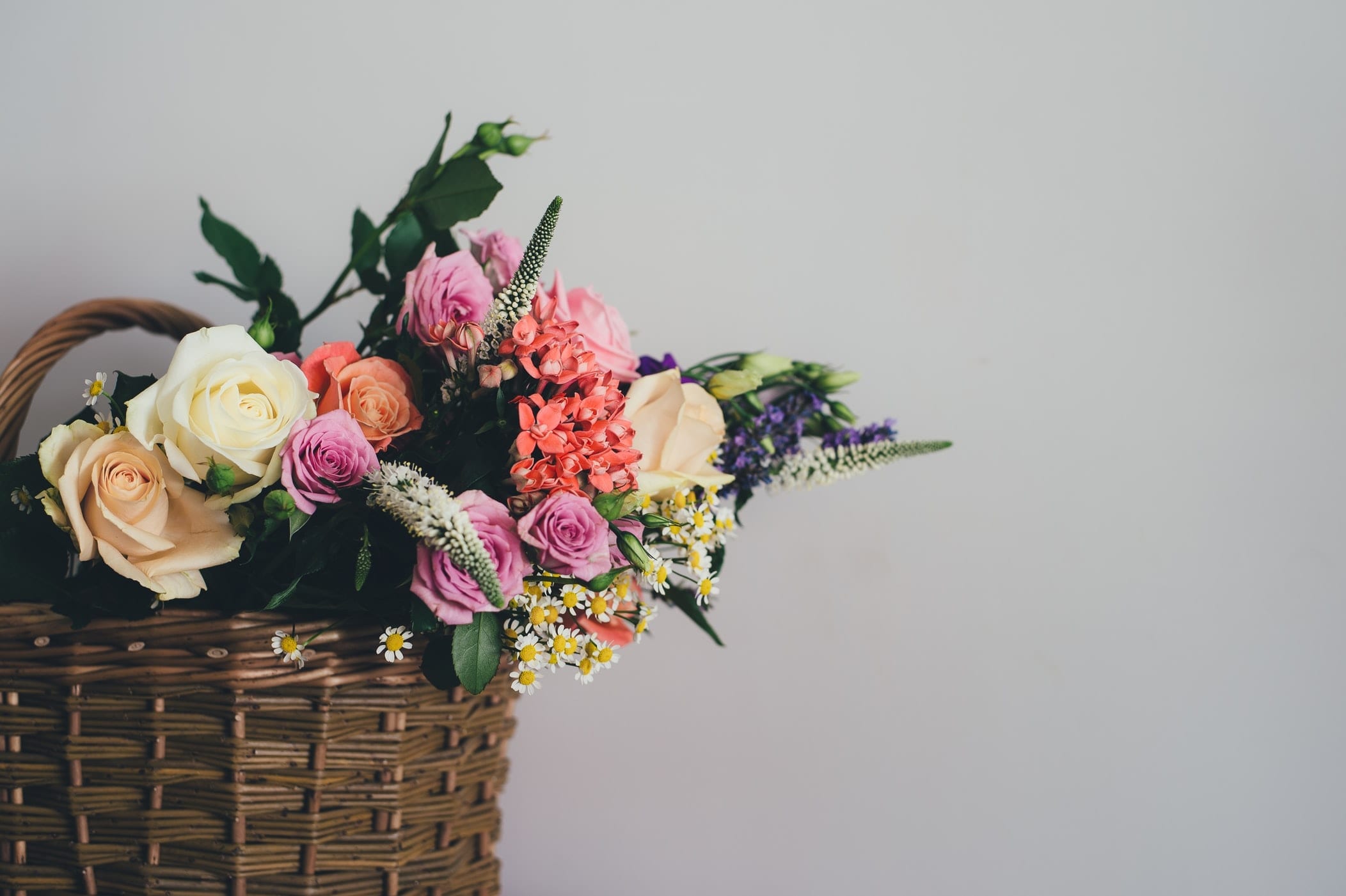 10 Marvellous Facts about Mothers Day
