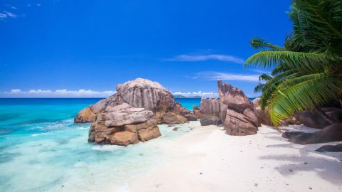 interesting facts about Seychelles