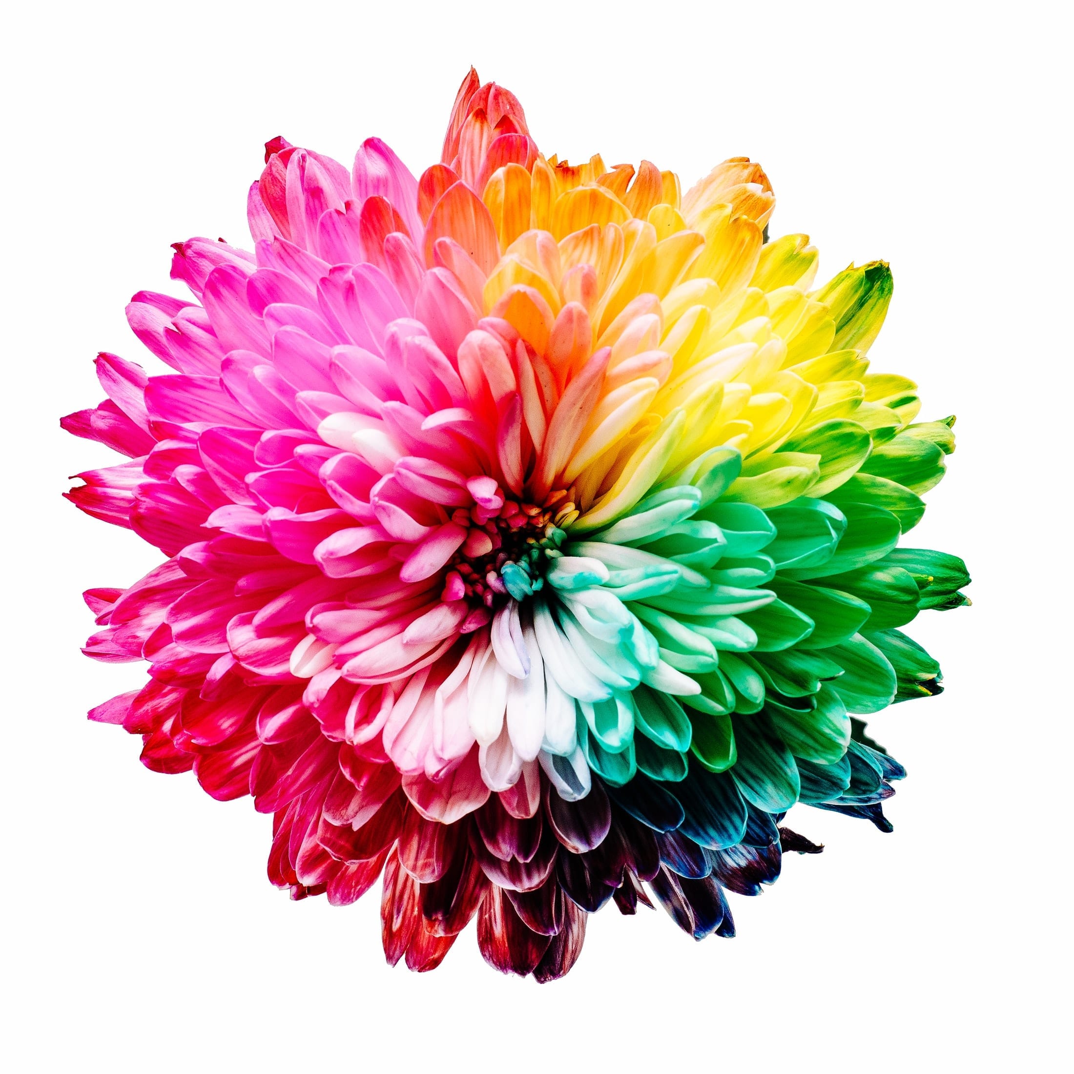 18 Crazy Facts About Colour