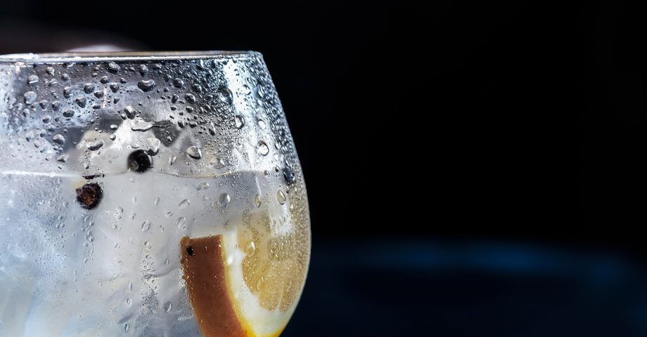 interesting facts about gin