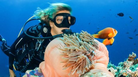 interesting facts about SCUBA diving