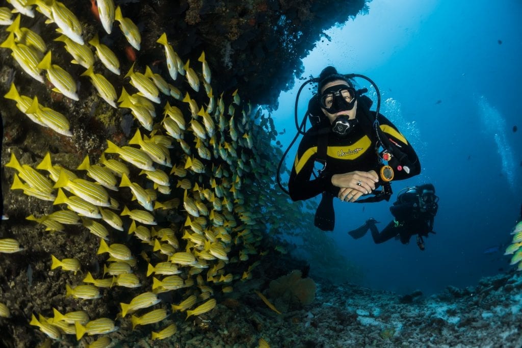 scuba diving facts