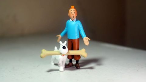 TinTin and Snowy