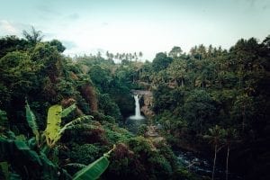  Waterfall in the Amazon Rainforest