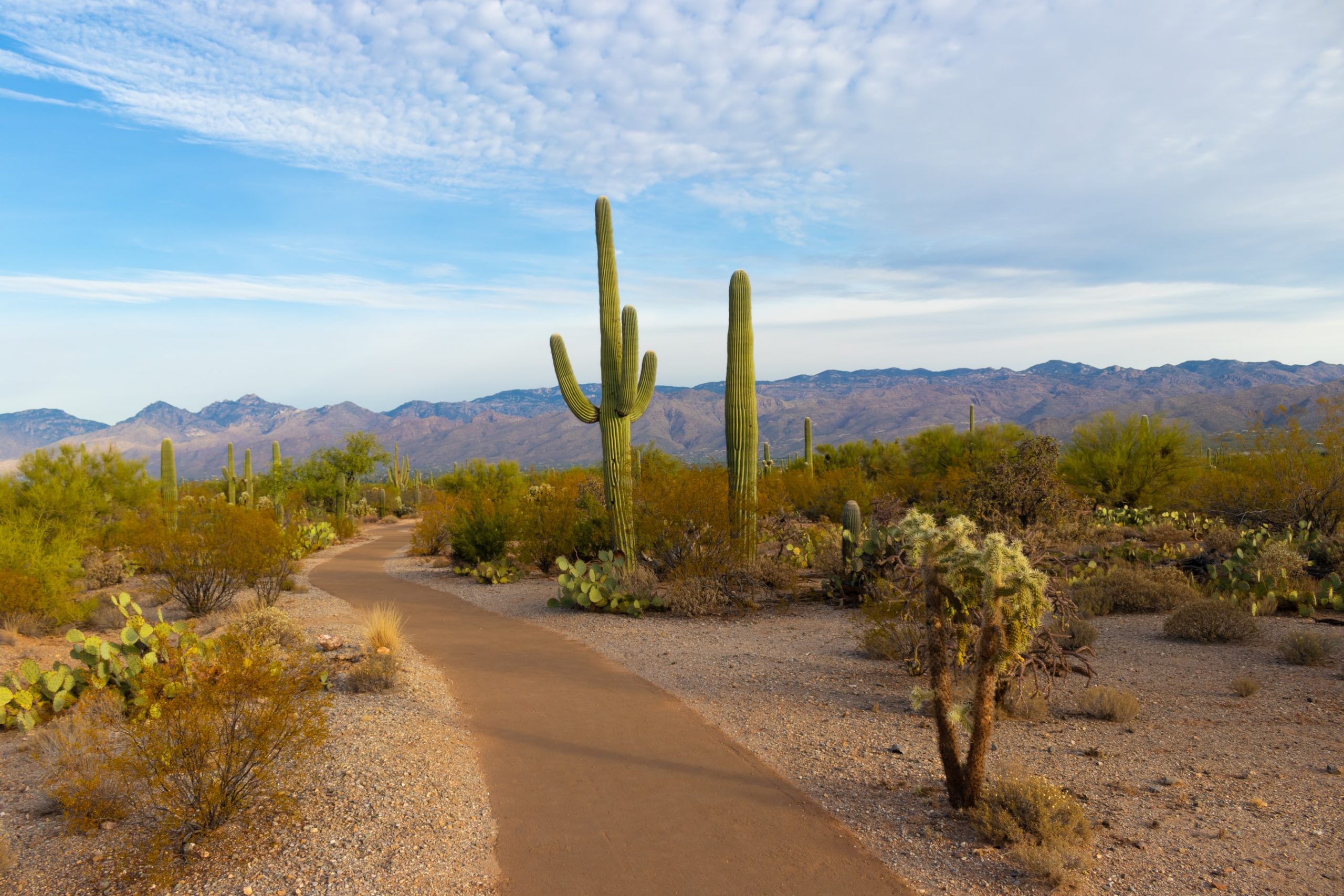 10 Amazing Facts About Arizona