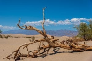 Death Valley, Cailfornia, United States