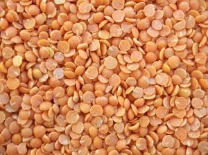 Lentil Facts