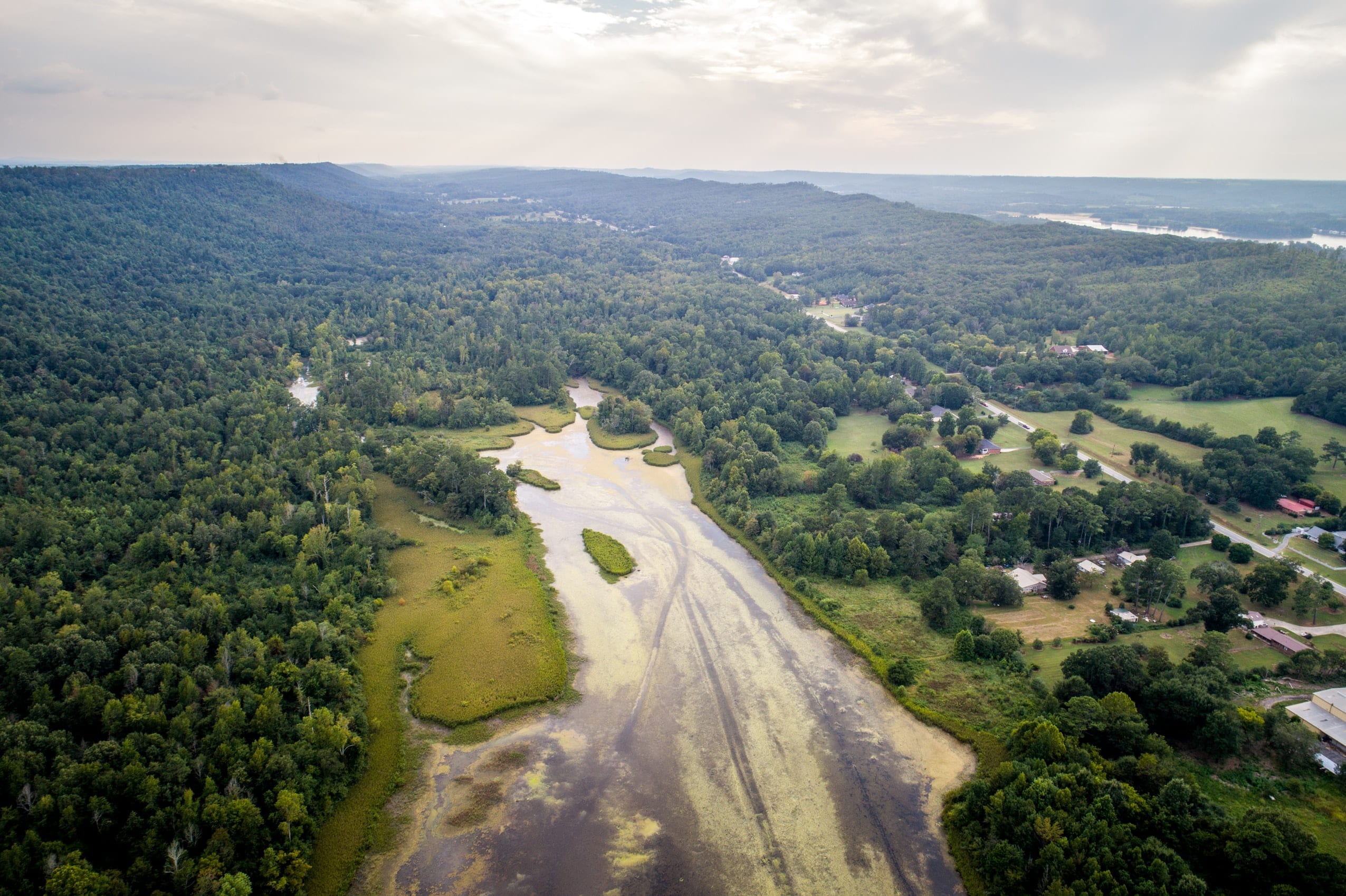 16 Sweet Facts About Alabama
