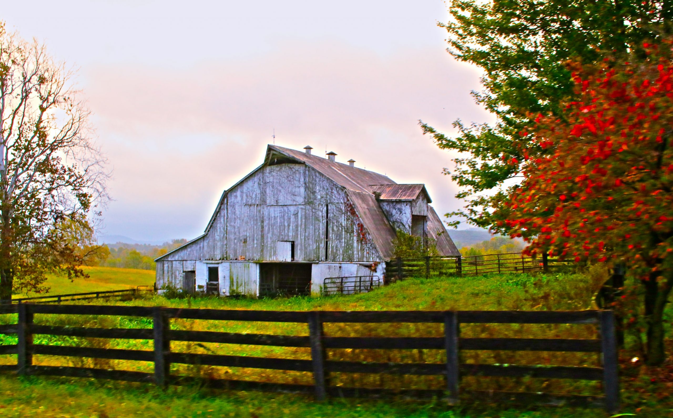 10 Fun Facts about Kentucky