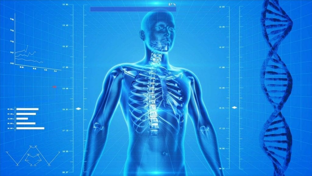 facts about the human body