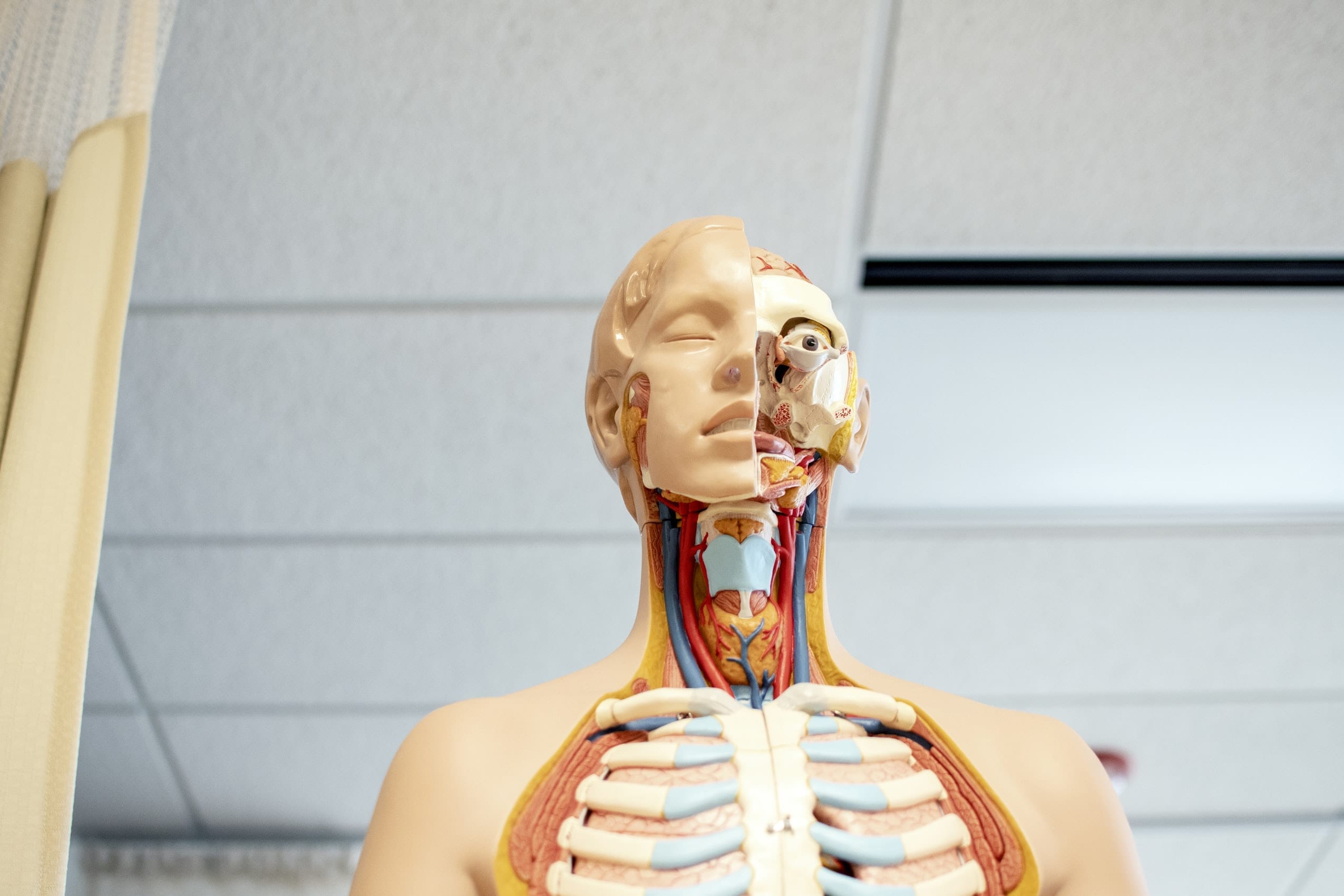 23 Weird And Wonderful Facts About The Human Body