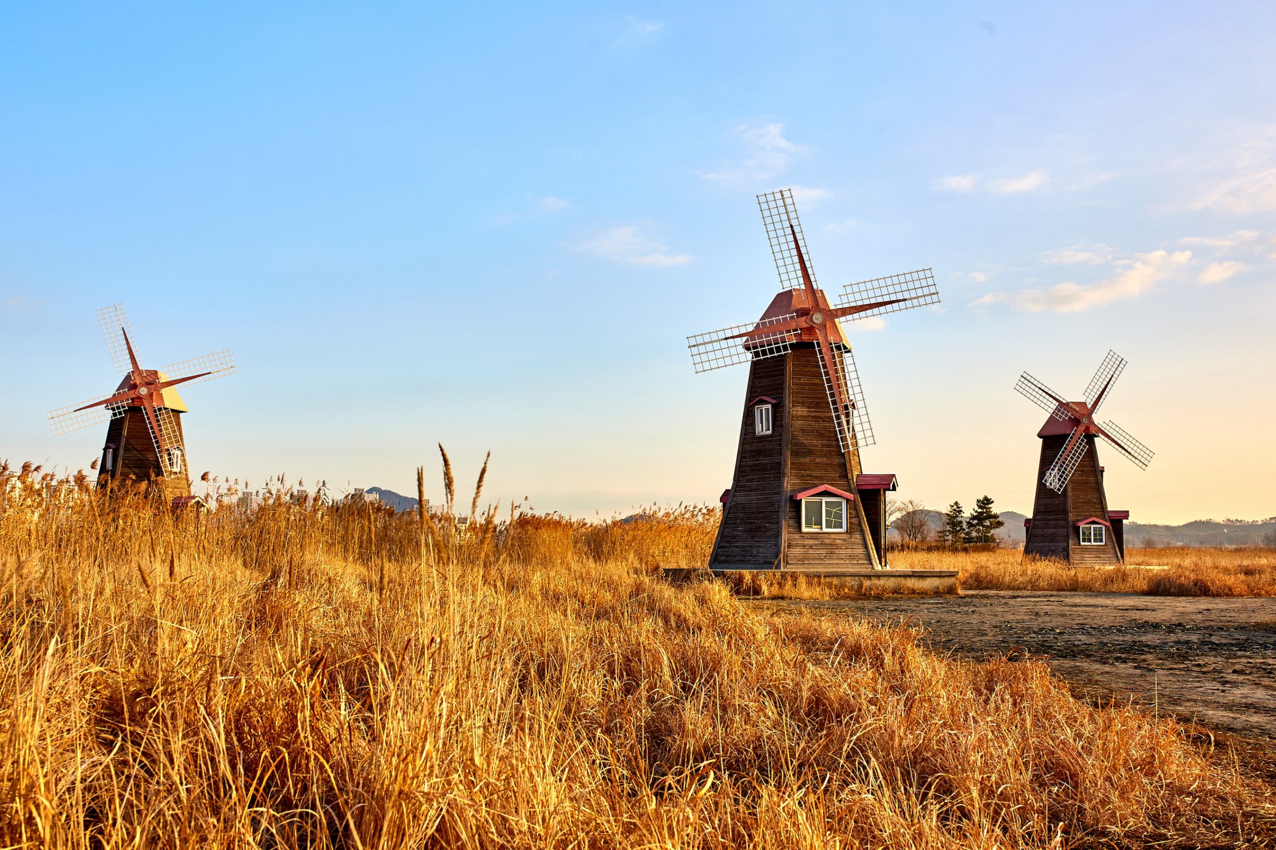15 Fun Facts About Windmills