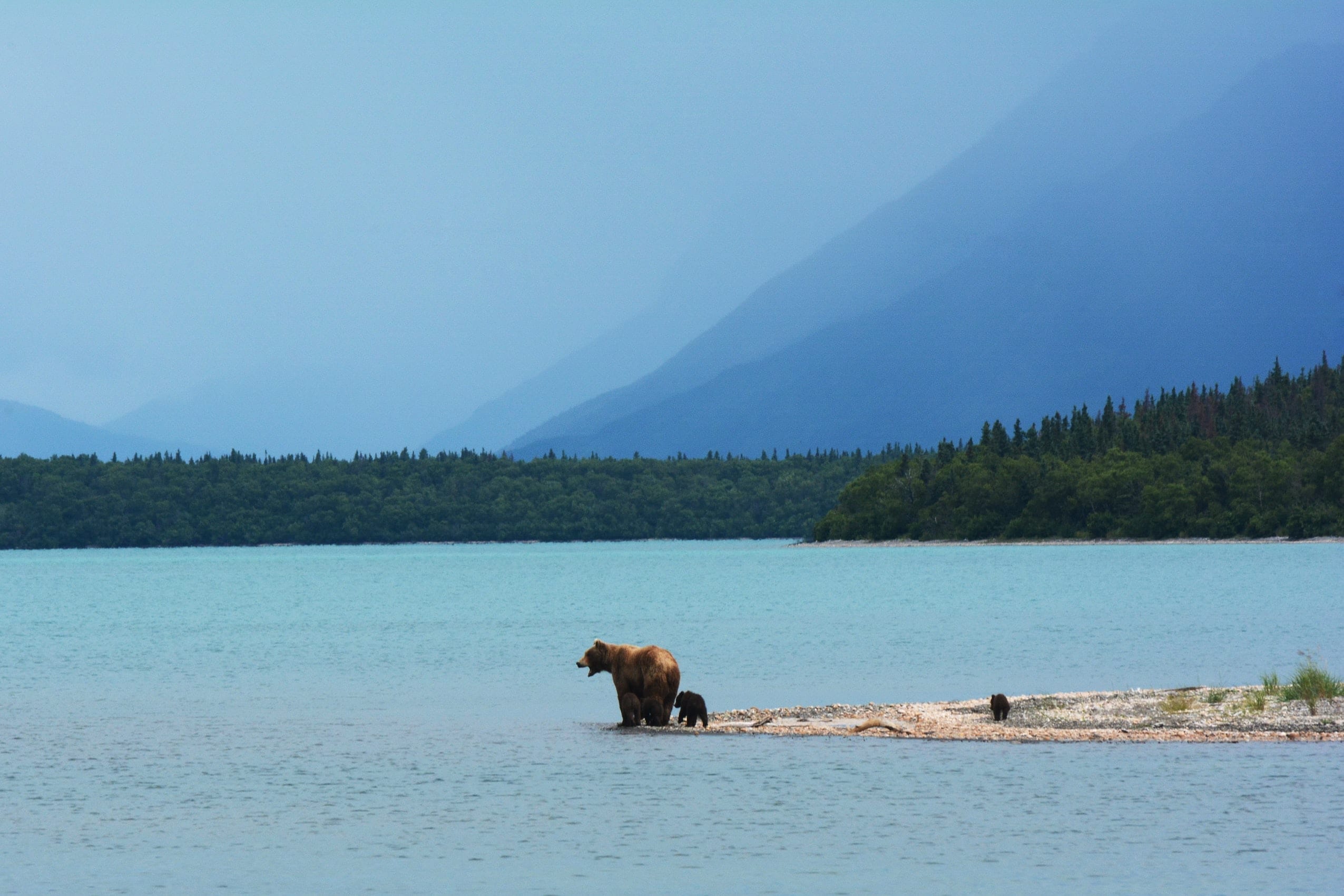 14 Absolutely Freezing Facts About Alaska