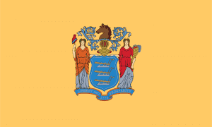 State Flag of New Jersey