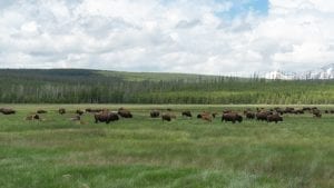 Interesting facts about Idaho
