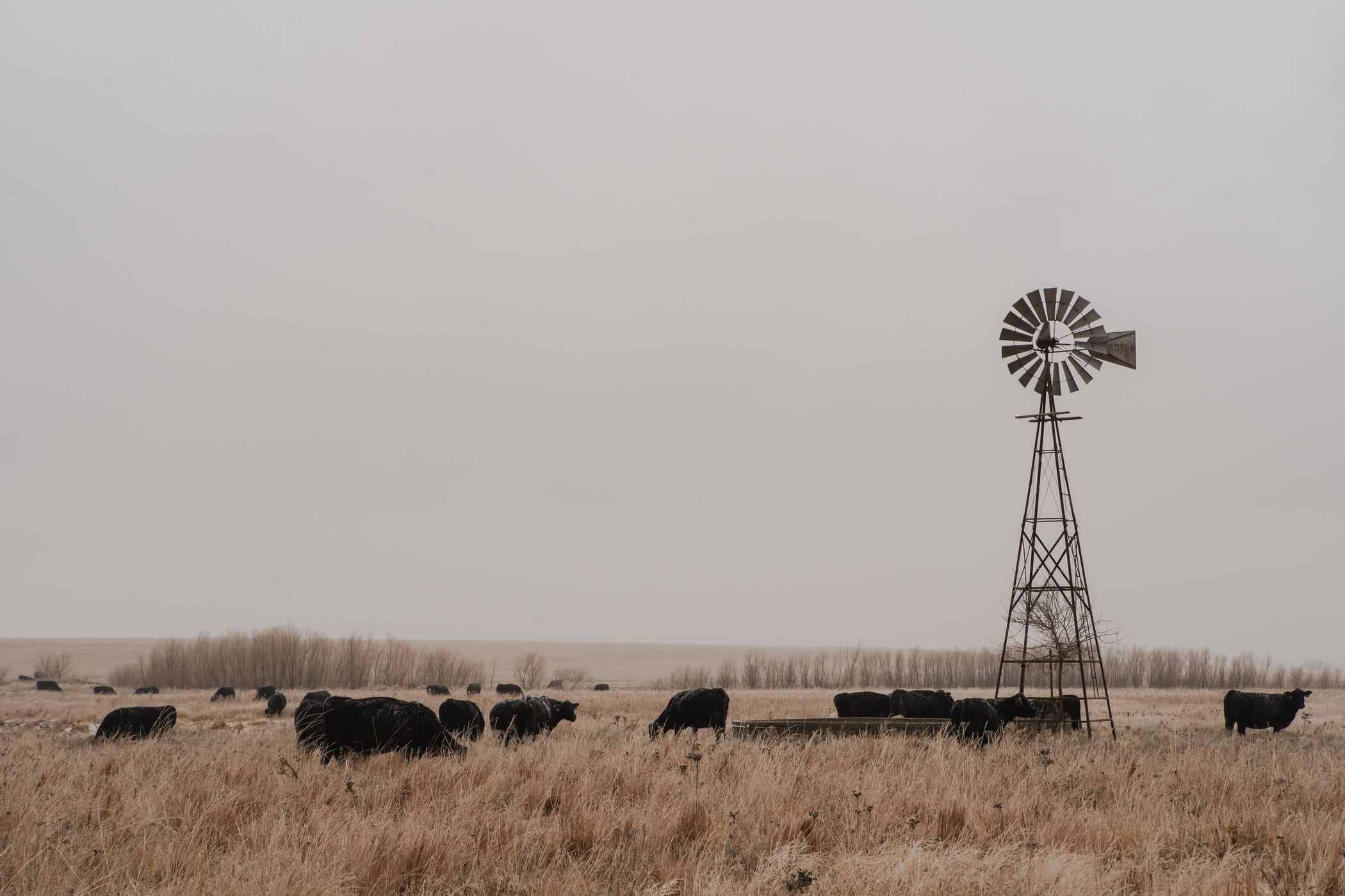 10 Compelling Facts About Kansas