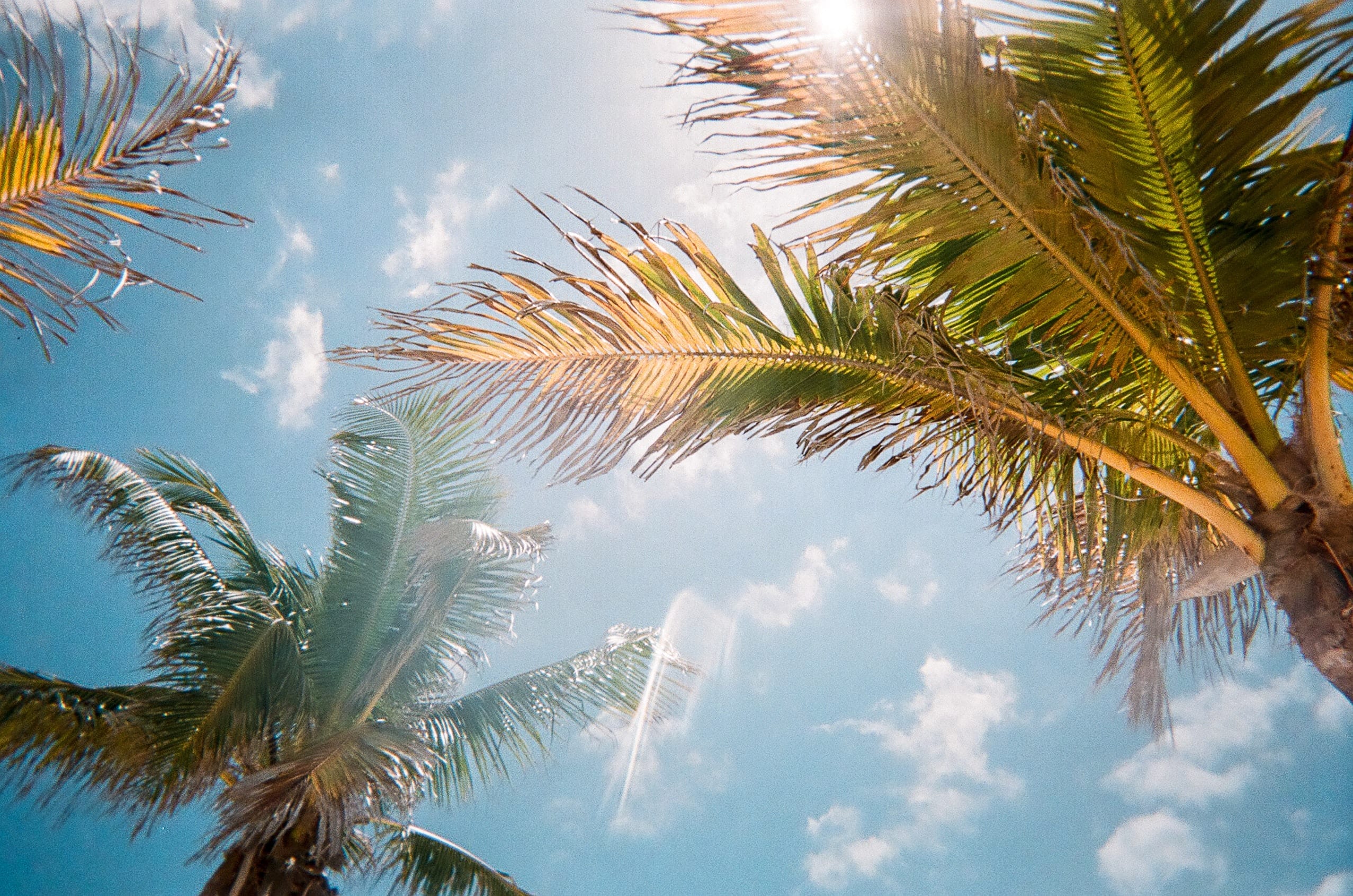 26 Fun Facts About Florida